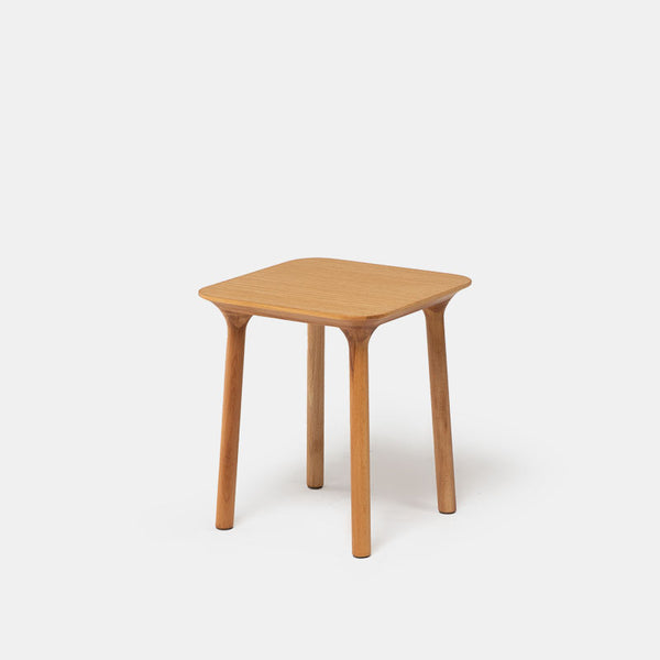 Rost Series Natural Wood Copper Side Table