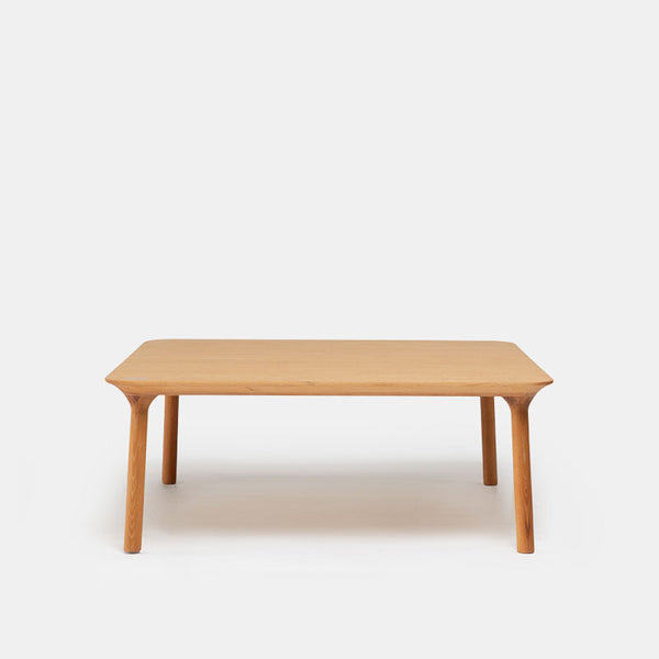 Rost Series Natural Beech Wood Copper Coffee Table